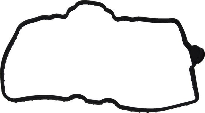 Valve Cover Gasket Pol