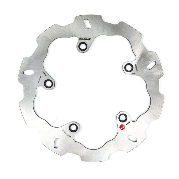 Racing Rotor Rear